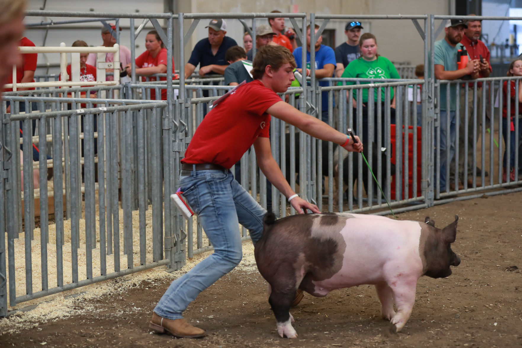 071119_HallCoFair58_bjs.JPG